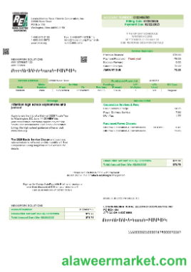 USA Ohio Lorain-Medina Rural Electric business utility bill template in Word and PDF formats